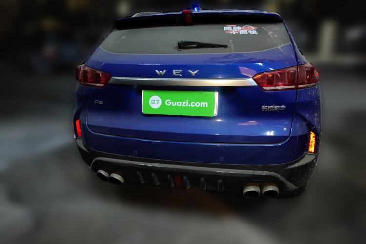Used Wey P8 2018 2.0T Flagship Model Rear