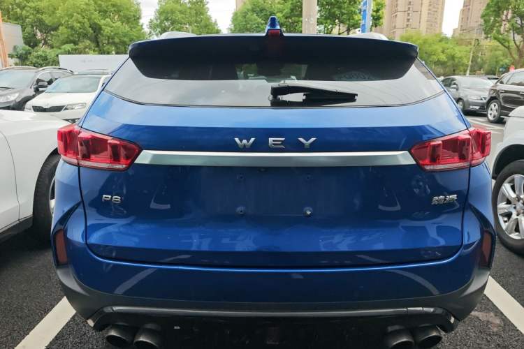 Used Wey P8 2018 2.0T Flagship Model Rear