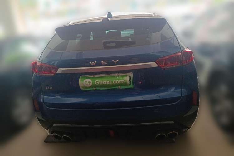 Used Wey P8 2018 2.0T Flagship Model Rear