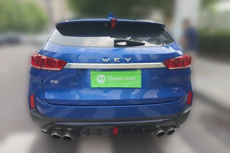 Used Wey P8 2018 2.0T Flagship Model Rear