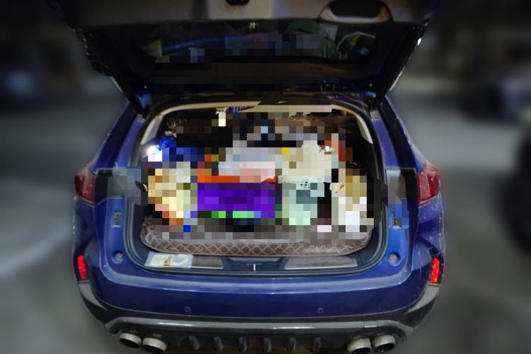 Used Wey P8 2018 2.0T Flagship Model Trunk