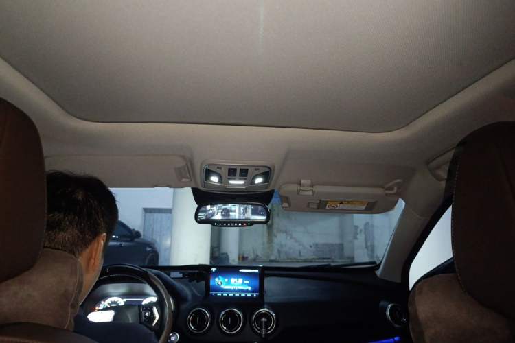 Used Wey P8 2018 2.0T Flagship Model Headliner
