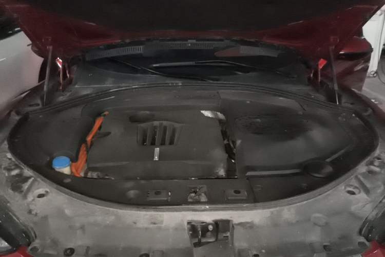 Used Wey P8 2018 2.0T Prestige Version Engine Bay