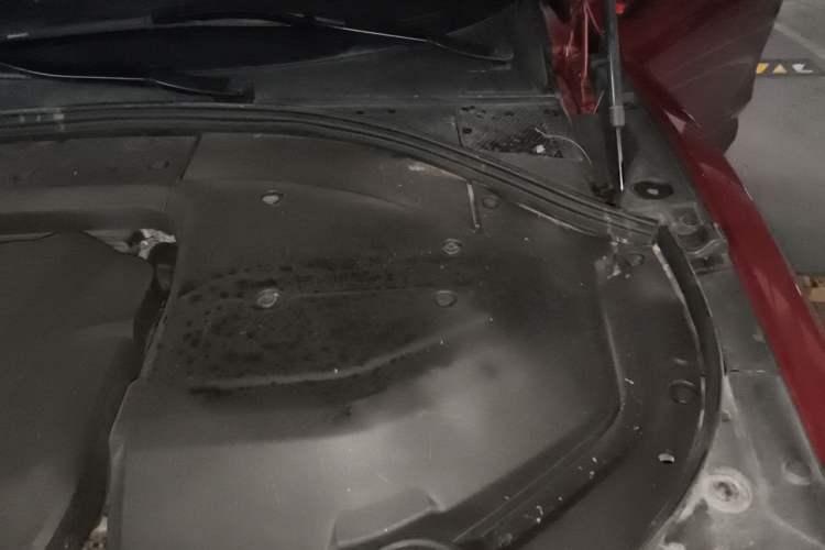Used Wey P8 2018 2.0T Prestige Version Engine Bay Left