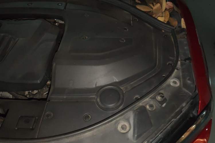 Used Wey P8 2018 2.0T Flagship Model Engine Bay Left