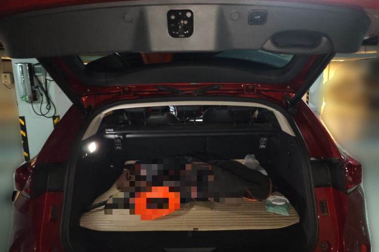 Used Wey P8 2018 2.0T Flagship Model Trunk