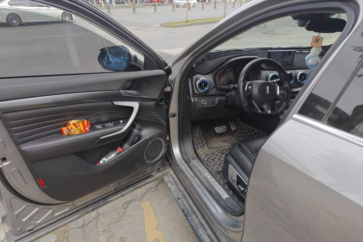 Used Wey P8 2018 2.0T Flagship Model Driver Seat