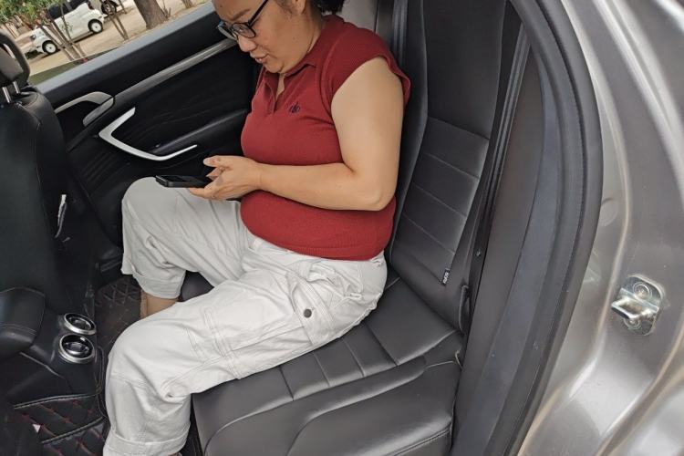 Used Wey P8 2018 2.0T Prestige Version Left Rear Seat