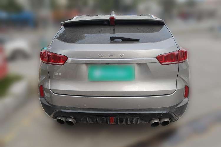 Used Wey P8 2018 2.0T Flagship Model Rear