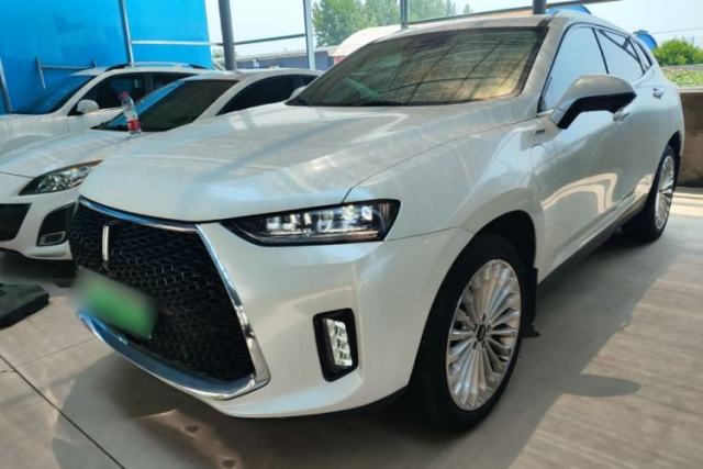 Wey P8 2018 2.0T Flagship Model usata