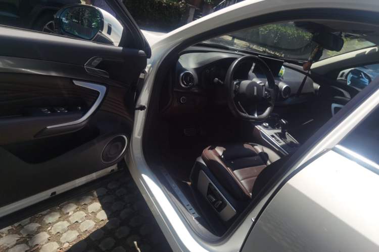 Used Wey P8 2018 2.0T Premium Edition Driver Seat
