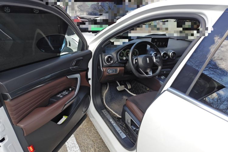Used Wey P8 2018 2.0T Flagship Model Driver Seat
