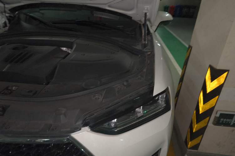 Used Wey P8 2018 2.0T Flagship Model Engine Bay Left