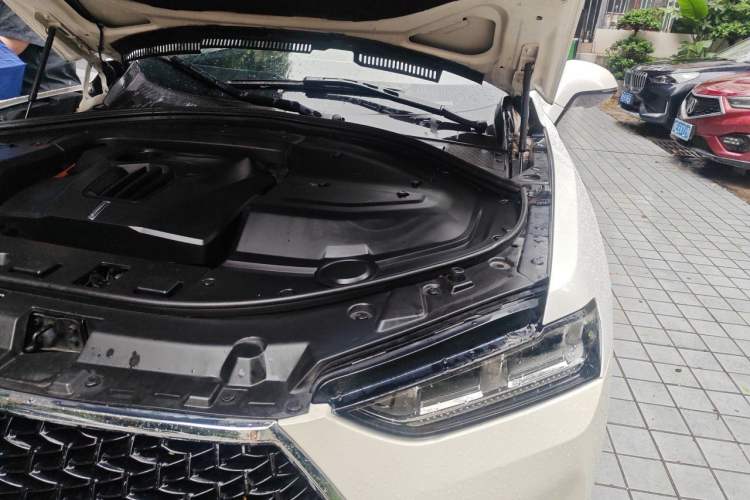 Used Wey P8 2018 2.0T Flagship Model Engine Bay Left