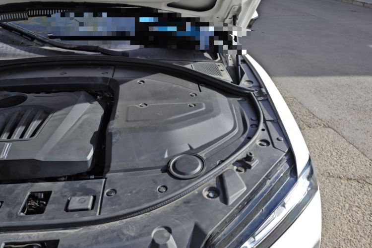 Used Wey P8 2018 2.0T Flagship Model Engine Bay Left