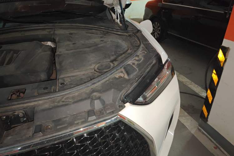Used Wey P8 2018 2.0T Flagship Model Engine Bay Left