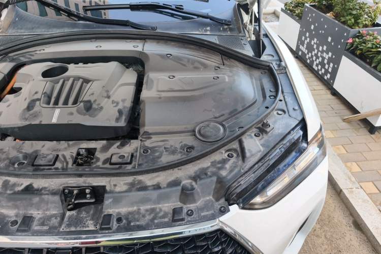 Used Wey P8 2018 2.0T Flagship Model Engine Bay Left