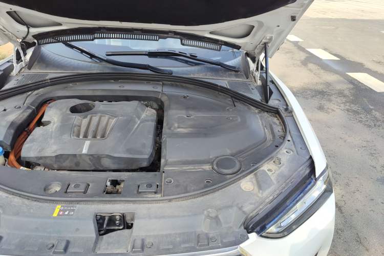 Used Wey P8 2018 2.0T Flagship Model Engine Bay Left