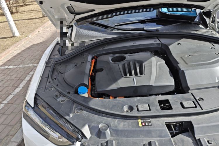 Used Wey P8 2018 2.0T Flagship Model Engine Bay Right