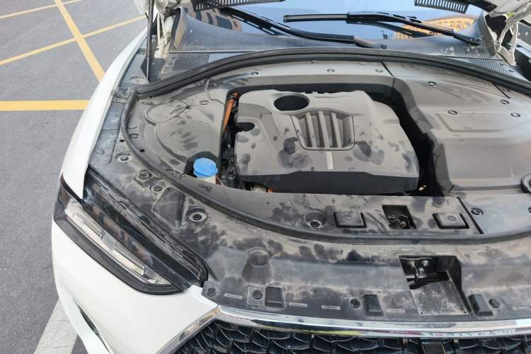 Used Wey P8 2018 2.0T Flagship Model Engine Bay Right