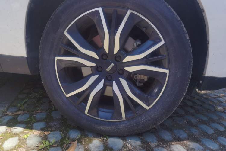 Used Wey P8 2018 2.0T Premium Edition Exterior 1
