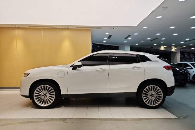 Used Wey P8 2018 2.0T Flagship Model Exterior 11
