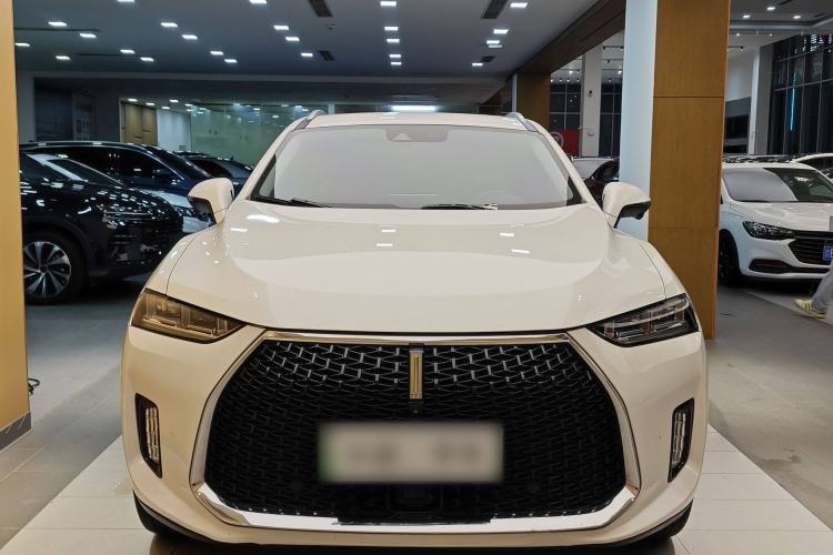 Used Wey P8 2018 2.0T Flagship Model Exterior 14