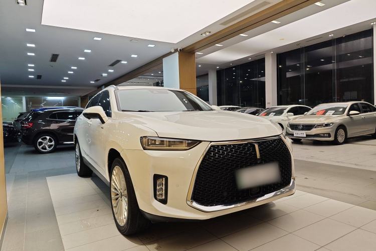 Used Wey P8 2018 2.0T Flagship Model Exterior 15