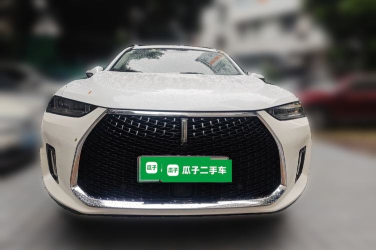 Used Wey P8 2018 2.0T Flagship Model Front