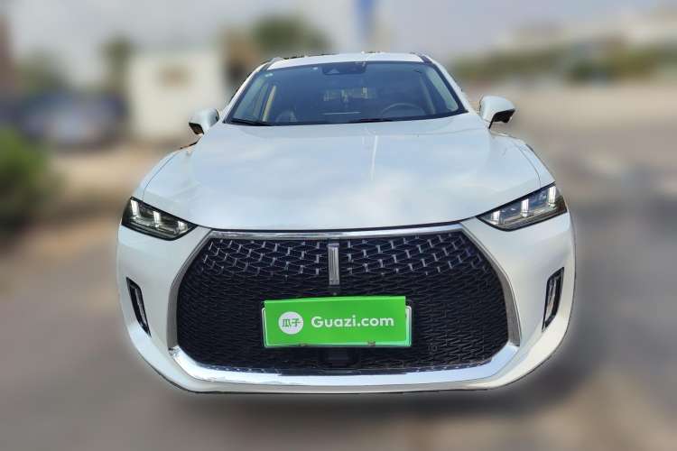Used Wey P8 2018 2.0T Flagship Model Front