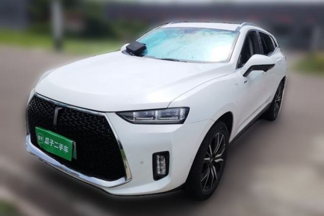 Used Wey P8 2018 2.0T Flagship Model