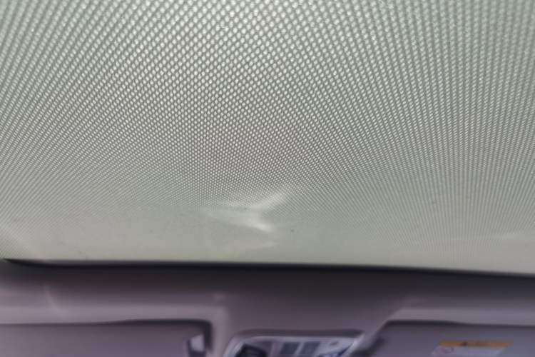 Used Wey P8 2018 2.0T Premium Edition Headliner