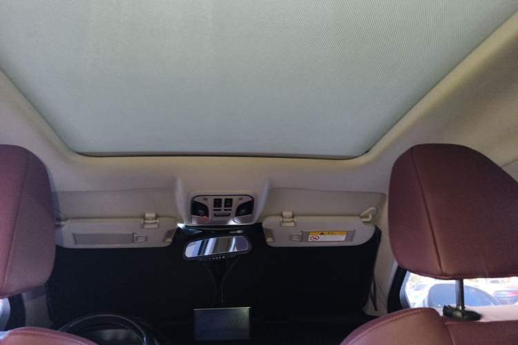 Used Wey P8 2018 2.0T Flagship Model Headliner