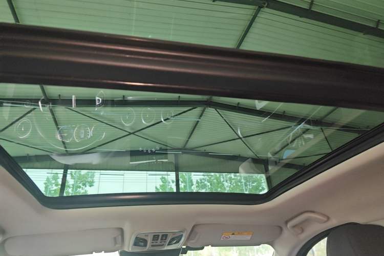 Used Wey P8 2018 2.0T Premium Edition Headliner