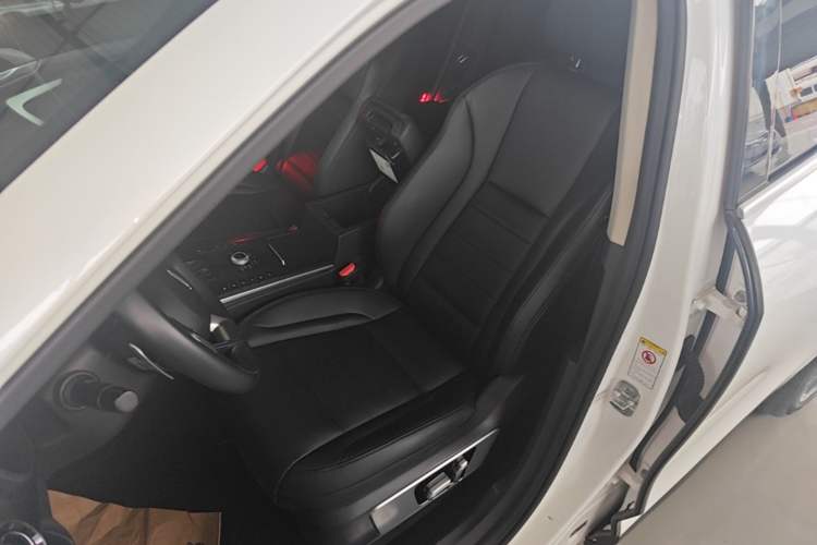 Used Wey P8 2018 2.0T Premium Edition Left Front Seat