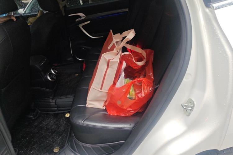 Used Wey P8 2018 2.0T Flagship Model Left Rear Seat