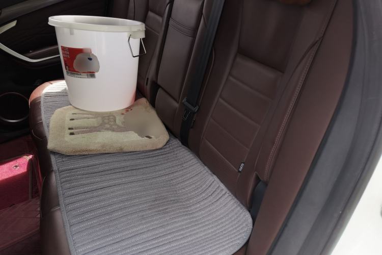 Used Wey P8 2018 2.0T Flagship Model Left Rear Seat