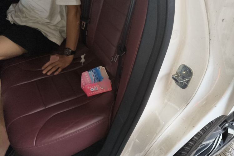 Used Wey P8 2018 2.0T Flagship Model Left Rear Seat