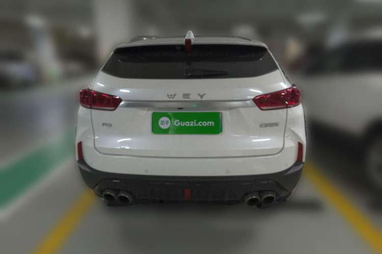Used Wey P8 2018 2.0T Flagship Model Rear