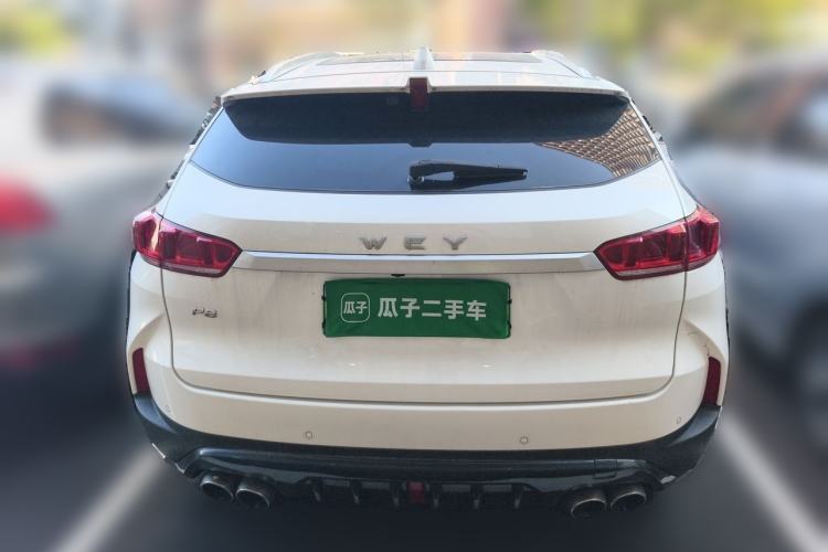 Used Wey P8 2018 2.0T Flagship Model Rear