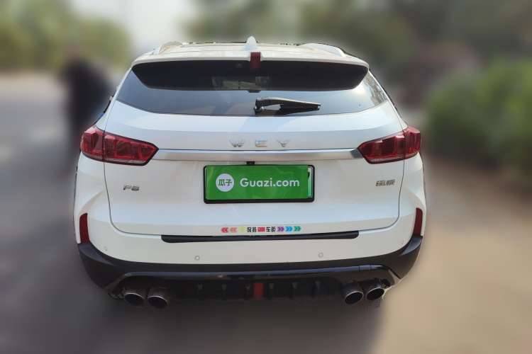 Used Wey P8 2018 2.0T Flagship Model Rear