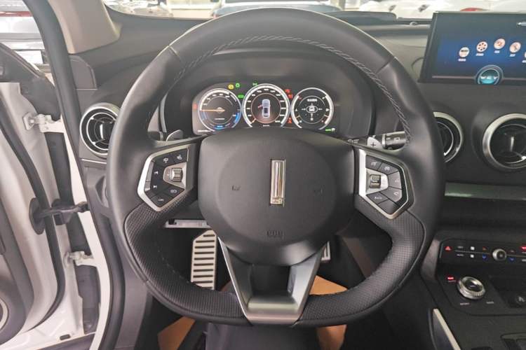 Used Wey P8 2018 2.0T Premium Edition Steering Wheel