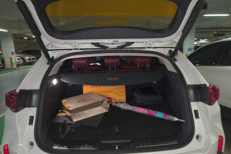 Used Wey P8 2018 2.0T Flagship Model Trunk