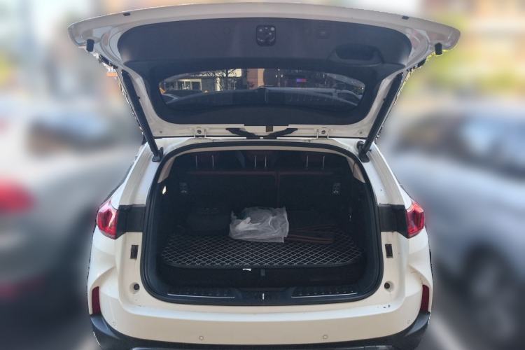 Used Wey P8 2018 2.0T Flagship Model Trunk