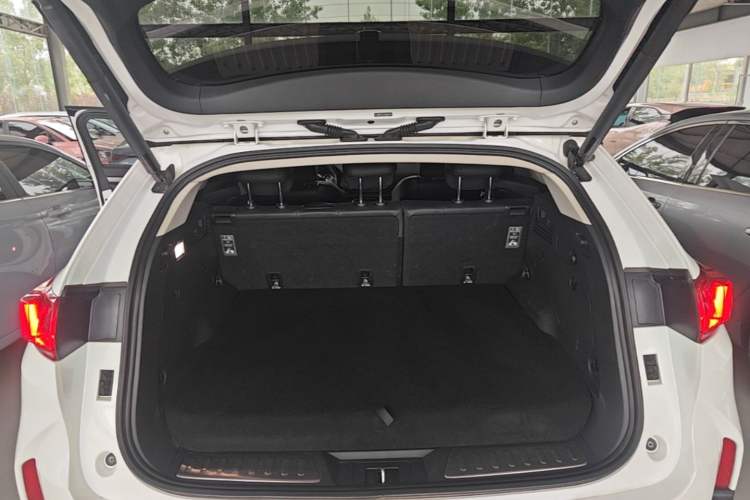 Used Wey P8 2018 2.0T Premium Edition Trunk