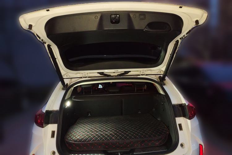 Used Wey P8 2018 2.0T Flagship Model Trunk