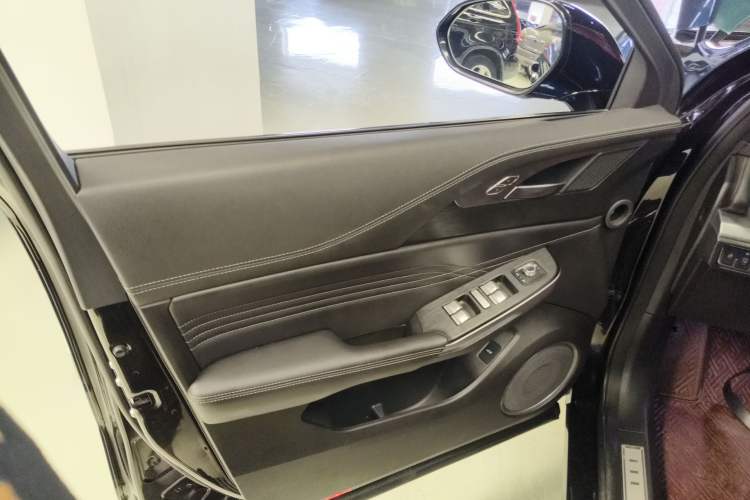 Used Wey VV5 2020 1.5T Two-Wheel Drive Smart Pioneer Left Front Door Interior
