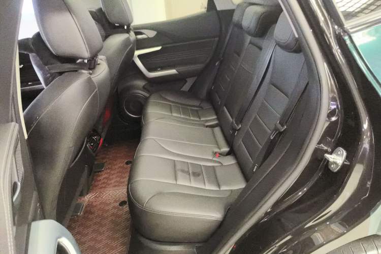 Used Wey VV5 2020 1.5T Two-Wheel Drive Smart Pioneer Left Rear Seat
