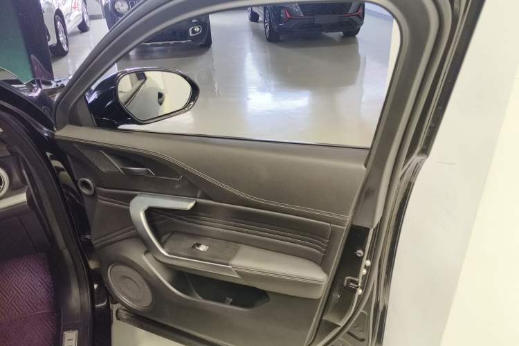 Used Wey VV5 2020 1.5T Two-Wheel Drive Smart Pioneer Right Front Door Interior