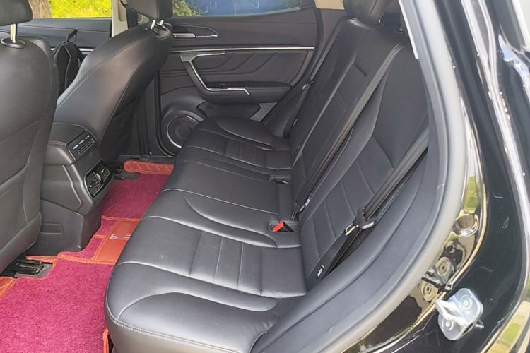 Used Wey VV5 2017 2.0T Ultra-Luxury Version Left Rear Seat